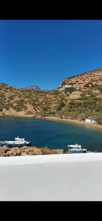 Pandaisia φούρνοι κορσεων *